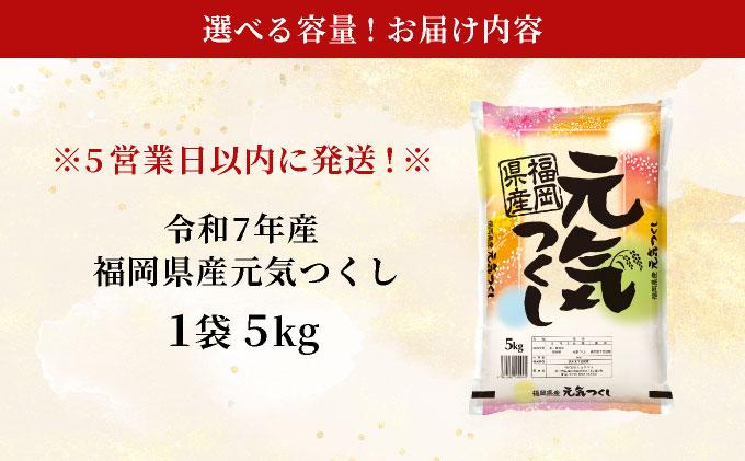 福岡県産元気つくし 白米5kg|福岡県産 元気つくし 白米 5kg 精米 米 国産 九州産 お米 ご飯 ふるさと納税 福岡県 那珂川市