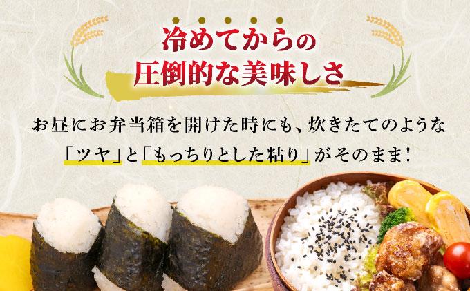 福岡県産元気つくし 白米5kg|福岡県産 元気つくし 白米 5kg 精米 米 国産 九州産 お米 ご飯 ふるさと納税 福岡県 那珂川市