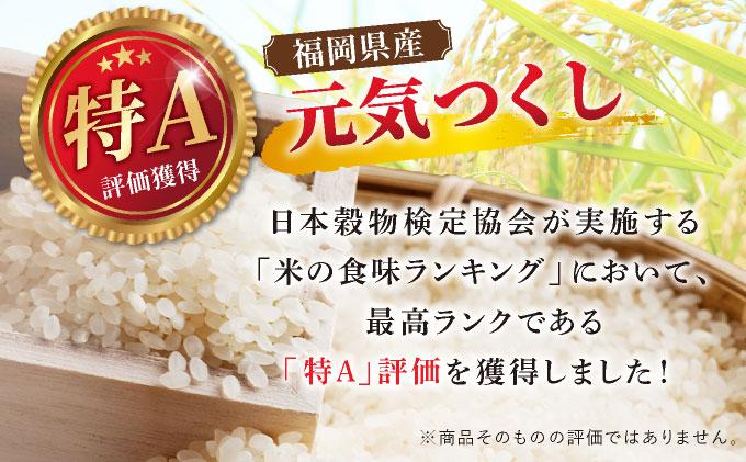 福岡県産元気つくし 白米5kg|福岡県産 元気つくし 白米 5kg 精米 米 国産 九州産 お米 ご飯 ふるさと納税 福岡県 那珂川市