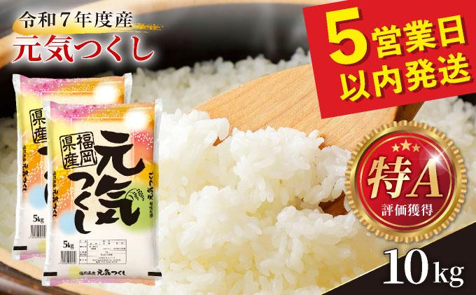 福岡県産元気つくし 白米10kg|福岡県産 元気つくし 白米 10kg 精米 米 国産 九州産 お米 ご飯 ふるさと納税 福岡県 那珂川市