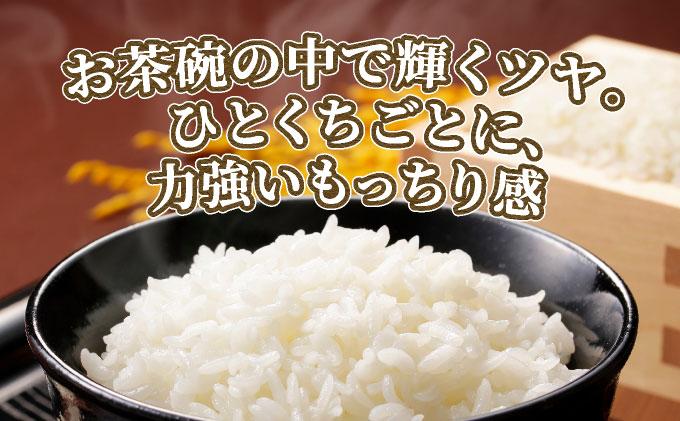 福岡県産元気つくし 白米10kg|福岡県産 元気つくし 白米 10kg 精米 米 国産 九州産 お米 ご飯 ふるさと納税 福岡県 那珂川市