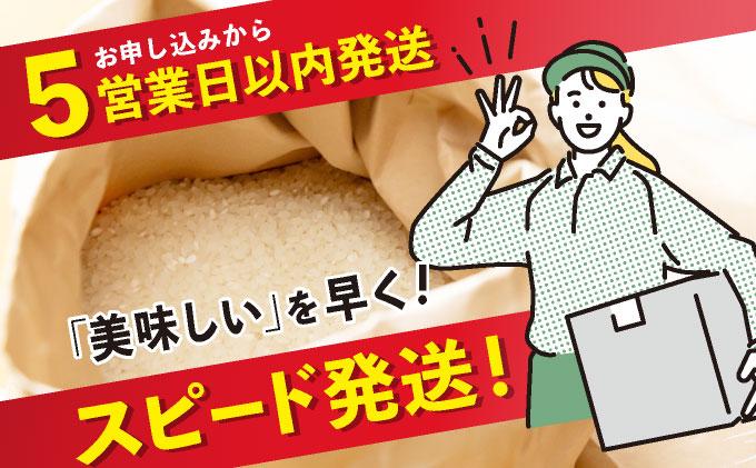 福岡県産元気つくし 白米10kg|福岡県産 元気つくし 白米 10kg 精米 米 国産 九州産 お米 ご飯 ふるさと納税 福岡県 那珂川市