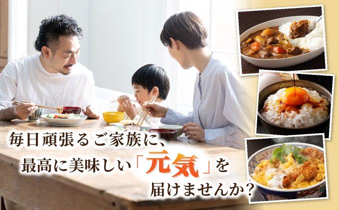 福岡県産元気つくし 白米10kg|福岡県産 元気つくし 白米 10kg 精米 米 国産 九州産 お米 ご飯 ふるさと納税 福岡県 那珂川市
