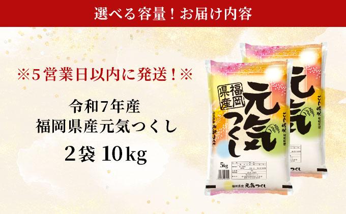 福岡県産元気つくし 白米10kg|福岡県産 元気つくし 白米 10kg 精米 米 国産 九州産 お米 ご飯 ふるさと納税 福岡県 那珂川市