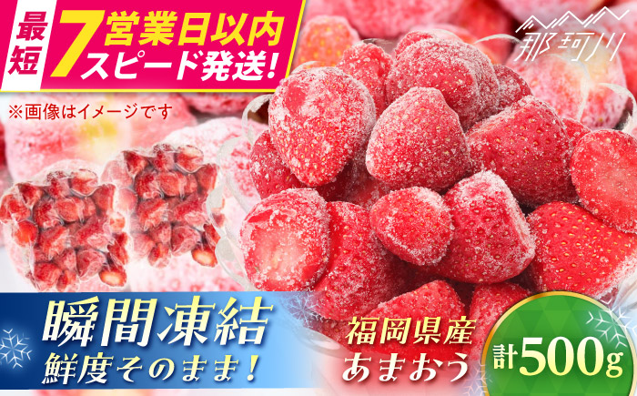 【7営業日以内発送！】福岡県産 冷凍あまおう500g(250g×2個) ＜木村食品＞ 那珂川市 [GFR034]