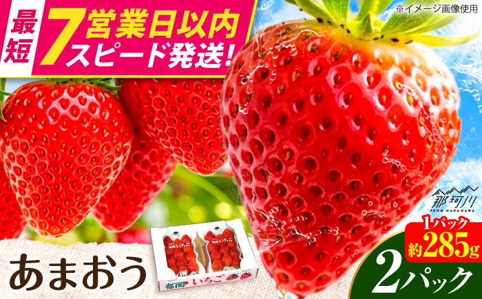 【7営業日以内にスピード発送！】『自然環境農法』で育てた福岡県産 あまおう 約285g×2パック＜おおきべりー株式会社＞那珂川市 フルーツ いちご 果物 イチゴ 苺 あまおう いちご 期間限定 [GZE001]