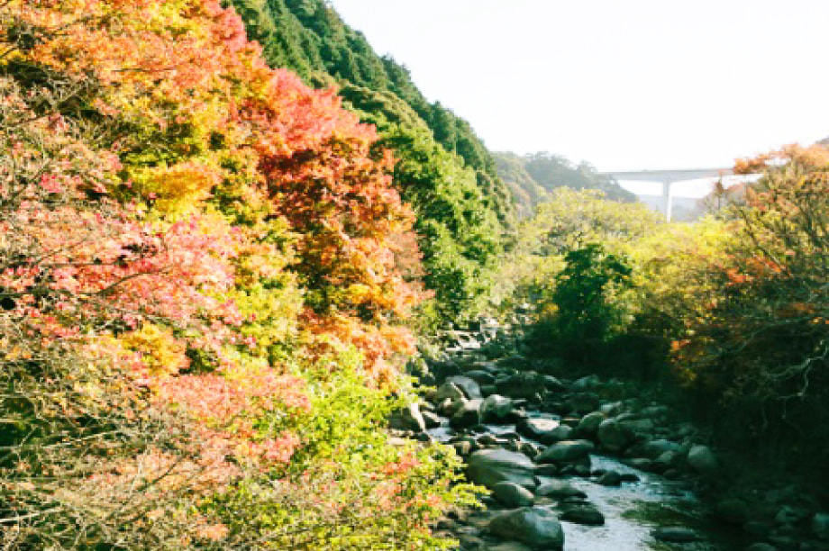 自然と歴史に触れあう場の整備に関する事業