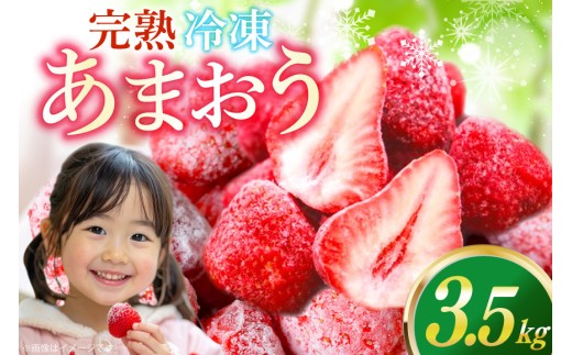いちご 冷凍 完熟 あまおう 3.5kg [ストロベリーファーム 福岡県 宇美町 um40azp070001] 【2027年発送先行受付】 イチゴ 苺 フルーツ 冷凍フルーツ 果物 果実 甘い あまい 冷凍いちご 冷凍苺 冷凍イチゴ