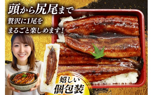 うなぎ 国産 蒲焼 特大 肉厚 約200g 2尾 計400g以上 6回 定期便 総計約2.4kg 小分け 【有頭】[大黒物産 福岡県 宇美町 um40bak830019] タレ 山椒付 ウナギ 鰻 不揃い 規格外 九州産 鹿児島 宮崎 うなぎ蒲焼 鰻蒲焼き 蒲焼き かば焼き 真空パック 個包装 冷凍 unagi 72000円 72000