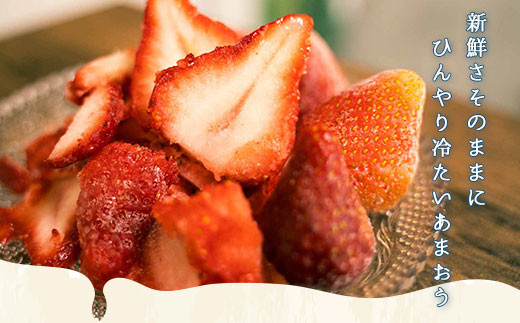 いちご 冷凍 あまおう 1.5kg [THE FARM_strawberry 福岡県 宇美町 um40azo780002] イチゴ 苺 フルーツ 果物 果実 甘い あまい 冷凍いちご 冷凍苺 冷凍イチゴ 冷凍フルーツ