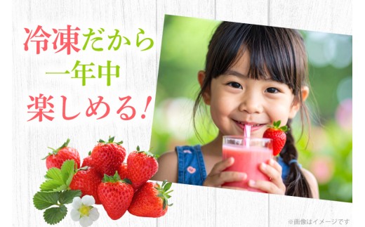 いちご 冷凍 完熟 あまおう 3.5kg [ストロベリーファーム 福岡県 宇美町 um40azp070001] 【2027年発送先行受付】 イチゴ 苺 フルーツ 冷凍フルーツ 果物 果実 甘い あまい 冷凍いちご 冷凍苺 冷凍イチゴ