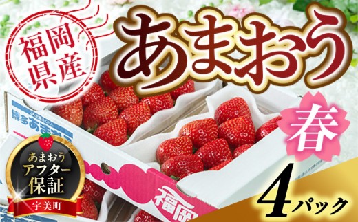 いちご あまおう 福岡産 春 4パック 【期間限定発送】 [南国フルーツ 福岡県 宇美町 um40azo970041] 先行予約 イチゴ 苺 フルーツ 果物 果実 甘い 小分け あまい