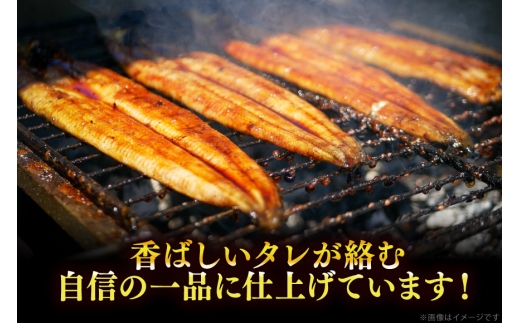 うなぎ 国産 蒲焼 特大 肉厚 約200g 2尾 計400g以上 6回 定期便 総計約2.4kg 小分け 【有頭】[大黒物産 福岡県 宇美町 um40bak830019] タレ 山椒付 ウナギ 鰻 不揃い 規格外 九州産 鹿児島 宮崎 うなぎ蒲焼 鰻蒲焼き 蒲焼き かば焼き 真空パック 個包装 冷凍 unagi 72000円 72000