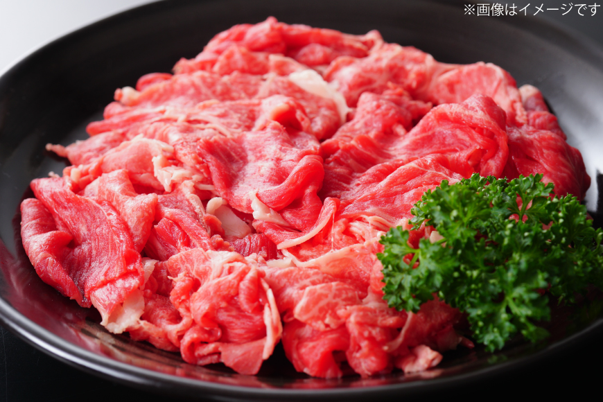 肉 博多和牛 切り落とし500g 12回 定期便 [MEAT PLUS 福岡県 宇美町 um40azp010061] ふるさと納税 牛肉 牛 肉 和牛 黒毛和牛 切落し 赤身 和牛 肩肉 牛肩 バラ肉 バラ 国産 冷凍