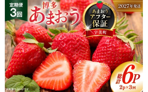 いちご あまおう 定期便 2p 3回 総計6P【2027年発送】 期間限定発送 [THE FARM_strawberry 福岡県 宇美町 um40azo780012] 先行予約 イチゴ 苺 フルーツ 果物 果実 甘い 小分け 定期 あまい