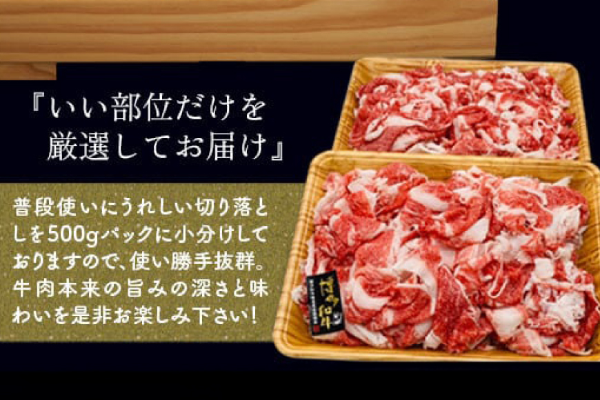 肉 博多和牛 切り落とし500g 12回 定期便 [MEAT PLUS 福岡県 宇美町 um40azp010061] ふるさと納税 牛肉 牛 肉 和牛 黒毛和牛 切落し 赤身 和牛 肩肉 牛肩 バラ肉 バラ 国産 冷凍