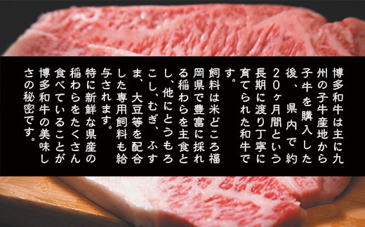 博多和牛 サーロイン ステーキ 250g 4枚 1kg [MEAT PLUS 福岡県 宇美町 um40azp010009] 牛肉 サーロインステーキ 肉 和牛 