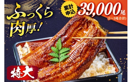 うなぎ 訳あり 蒲焼 特大 肉厚 4尾 約 1.5kg 小分け タレ 山椒付き [大黒物産 福岡県 宇美町 um40bak830002] 不揃い 規格外 家庭用 鰻 ウナギ unagi うなぎ蒲焼 鰻蒲焼き 蒲焼き かば焼き 真空パック 個包装 冷凍 13000 13000円