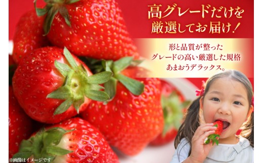 いちご あまおう デラックス 2p 【2027年発送】 [THE FARM_strawberry 福岡県 宇美町 um40azo780018] 先行予約 イチゴ 苺 フルーツ 果物 果実 甘い あまい 小分け 2パック