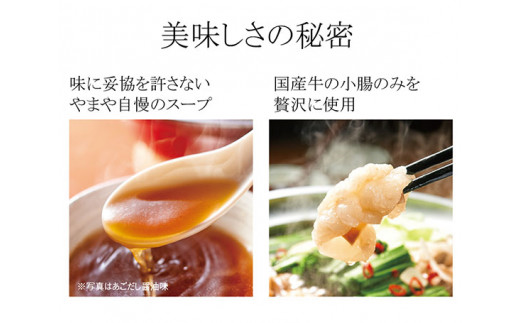 もつ鍋 やまや もつ鍋セット あごだし醤油味 3〜4人前 ちゃんぽん麺 薬味付き [やまやコミュニケーションズ 福岡県 宇美町 um40azo860005] もつ もつ鍋ふるさと納税 もつなべ モツ鍋 国産 牛もつ 牛モツ 牛ホルモン ランキング 15000 15000円