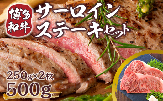 博多和牛 サーロイン ステーキ 250g 2枚 計500g  [MEAT PLUS 福岡県 宇美町 um40azp010004] 牛肉 サーロインステーキ 肉 和牛