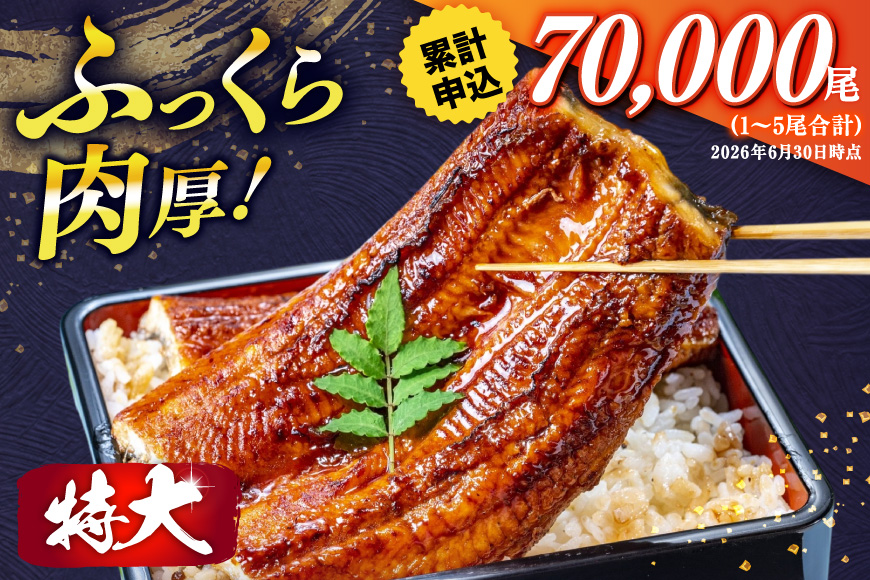 うなぎ 訳あり 蒲焼 特大 肉厚 4尾 約 1.5kg 小分け タレ 山椒付き [大黒物産 福岡県 宇美町 um40bak830002] 不揃い 規格外 家庭用 鰻 ウナギ unagi うなぎ蒲焼 鰻蒲焼き 蒲焼き かば焼き 真空パック 個包装 冷凍 13000 13000円