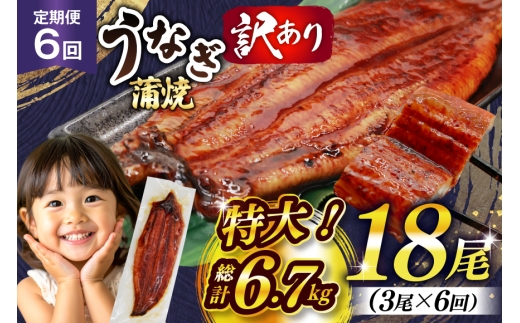 うなぎ 訳あり 蒲焼 特大 肉厚 3尾 6回 定期便 総計約6.7kg 小分け タレ 山椒付き [大黒物産 福岡県 宇美町 um40bak830016] 不揃い 規格外 鰻 ウナギ unagi うなぎ蒲焼 鰻蒲焼き 蒲焼き かば焼き 真空パック 個包装 冷凍