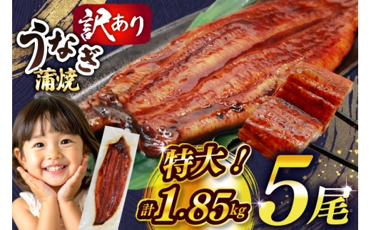 うなぎ 訳あり 蒲焼 特大 肉厚 5尾 計約1.85kg 小分け タレ 山椒付き [大黒物産 福岡県 宇美町 um40bak830010] 不揃い 規格外 鰻 ウナギ unagi うなぎ蒲焼 鰻蒲焼き 蒲焼き かば焼き 真空パック 個包装 冷凍