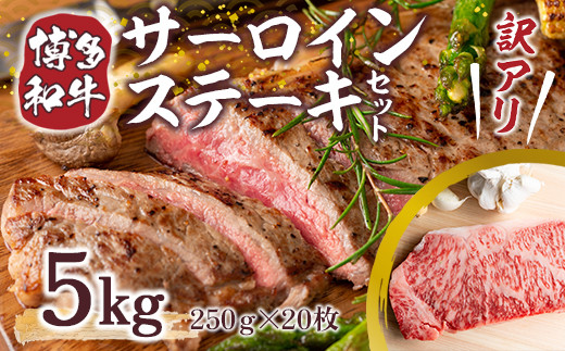 訳あり 博多和牛 サーロイン ステーキ 250g×20枚 計5kg [MEAT PLUS 福岡県 宇美町 um40azp010024] セット 牛肉 サーロインステーキ 肉 和牛
