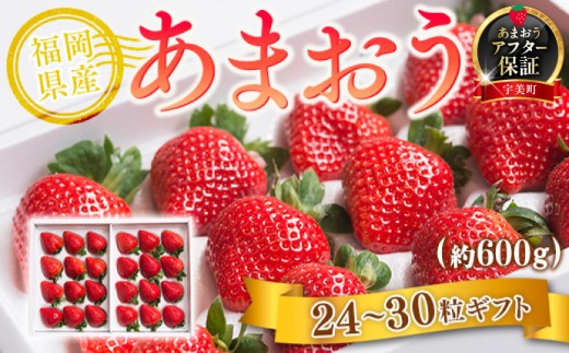 いちご あまおう 福岡産あまおう 24〜30粒 【期間限定発送】 [南国フルーツ 福岡県 宇美町 um40azo970008] 先行予約 イチゴ 苺 フルーツ 果物 果実 甘い 小分け あまい