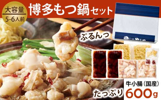 もつ鍋 6回 定期便 博多もつ鍋 やまや もつ鍋セット あごだし醤油味 5〜6人前 ちゃんぽん麺 薬味付 総計30人前 [やまやコミュニケーションズ 福岡県 宇美町 um40azo860013] 牛もつ 具材 モツ鍋 牛ホルモン セット 冷凍