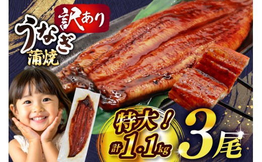 うなぎ 訳あり 蒲焼 特大 肉厚 3尾 約 1.1kg 小分け タレ 山椒付き [大黒物産 福岡県 宇美町 um40bak830001] 不揃い 規格外 家庭用 鰻 ウナギ unagi うなぎ蒲焼 鰻蒲焼き 蒲焼き かば焼き 真空パック 個包装 冷凍 1キロ 1k 1万円以下 10000円の品 10000 10000円