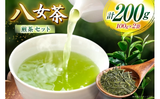 お茶 八女茶 煎茶 100g×2 セット [木村食品 福岡県 宇美町 um40beg040045] お茶の葉 茶 お茶の葉 茶葉 お茶っぱ