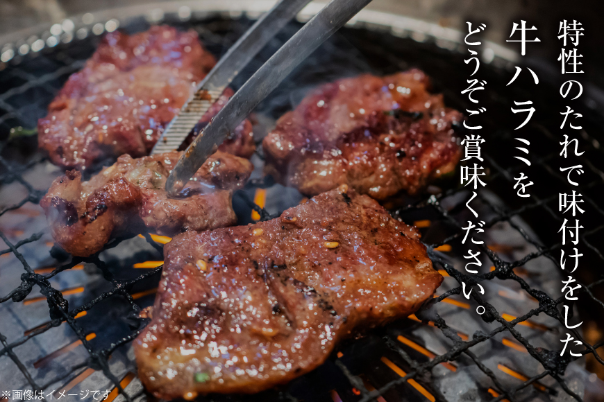 牛肉 味付け牛 サガリ 350g 7袋 計約2.4kg [小林食品 福岡県 宇美町 um40azo890014] 肉 サガリ 焼き肉 個包装