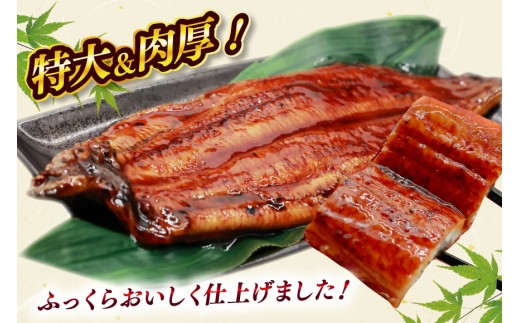 うなぎ 訳あり 蒲焼 特大 肉厚 3尾 約 1.1kg 小分け タレ 山椒付き [大黒物産 福岡県 宇美町 um40bak830001] 不揃い 規格外 家庭用 鰻 ウナギ unagi うなぎ蒲焼 鰻蒲焼き 蒲焼き かば焼き 真空パック 個包装 冷凍 1キロ 1k 1万円以下 10000円の品 10000 10000円
