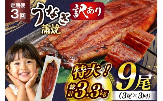 うなぎ 訳あり 蒲焼 特大 3尾 3回 定期便 総計3.3kg 小分け タレ 山椒付き [大黒物産 福岡県 宇美町 um40bak830015] 不揃い 規格外 鰻 ウナギ unagi うなぎ蒲焼 鰻蒲焼き 蒲焼き かば焼き 真空パック 個包装 冷凍