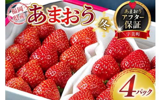 いちご あまおう 福岡産あまおう 冬 4パック 【期間限定発送】 [南国フルーツ 福岡県 宇美町 um40azo970040] 先行予約 イチゴ 苺 フルーツ 果物 果実 甘い あまい 小分け