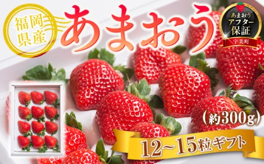 いちご あまおう 福岡産あまおう 12〜15粒 【期間限定発送】 [南国フルーツ 福岡県 宇美町 um40azo970007]  先行予約 イチゴ 苺 フルーツ 果物 果実 甘い 小分け あまい