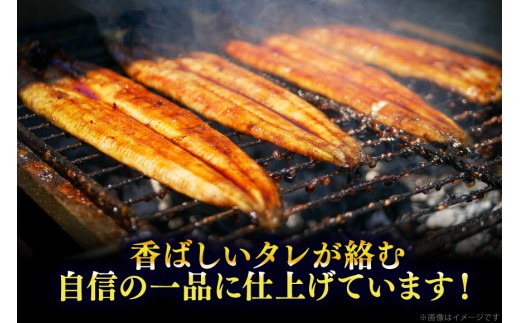 うなぎ 訳あり 蒲焼 特大 肉厚 4尾 約 1.5kg 小分け タレ 山椒付き [大黒物産 福岡県 宇美町 um40bak830002] 不揃い 規格外 家庭用 鰻 ウナギ unagi うなぎ蒲焼 鰻蒲焼き 蒲焼き かば焼き 真空パック 個包装 冷凍 13000 13000円