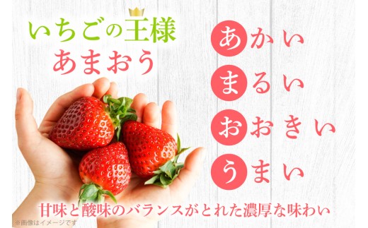 いちご 冷凍 完熟 あまおう 2kg [ストロベリーファーム 福岡県 宇美町 um40azp070000]  【2027年発送先行受付】 イチゴ 苺 フルーツ 冷凍フルーツ 果物 果実 甘い あまい 冷凍いちご 冷凍苺 冷凍イチゴ