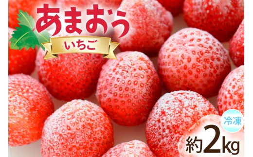 いちご 冷凍 あまおう 約2kg [地域商社ふるさぽ 福岡県 宇美町 um40bfw220008] フルーツ 果物 イチゴ 苺 くだもの ジャム シャーベット スムージー
