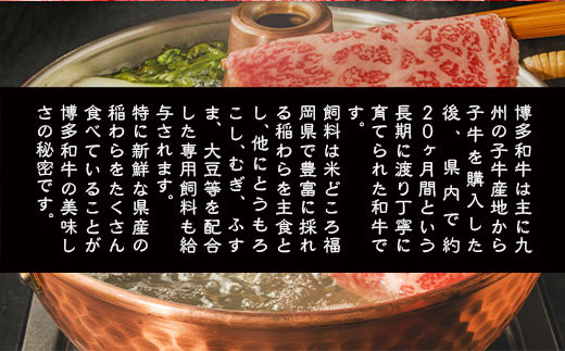 訳あり 博多和牛 しゃぶしゃぶ すき焼き 500g 2p 1kg [MEAT PLUS 福岡県 宇美町 um40azp010010] 牛肉 肉 肩ロース 肩バラ モモ肉 バラ肉 和牛 牛しゃぶ 牛すき