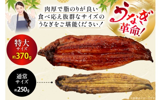 うなぎ 訳あり 蒲焼 特大 肉厚 4尾 約 1.5kg 小分け タレ 山椒付き [大黒物産 福岡県 宇美町 um40bak830002] 不揃い 規格外 家庭用 鰻 ウナギ unagi うなぎ蒲焼 鰻蒲焼き 蒲焼き かば焼き 真空パック 個包装 冷凍 13000 13000円