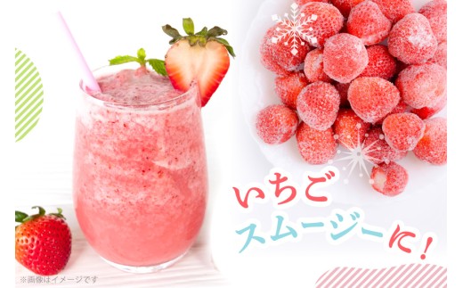 いちご 冷凍 完熟 あまおう 2kg [ストロベリーファーム 福岡県 宇美町 um40azp070000]  【2027年発送先行受付】 イチゴ 苺 フルーツ 冷凍フルーツ 果物 果実 甘い あまい 冷凍いちご 冷凍苺 冷凍イチゴ