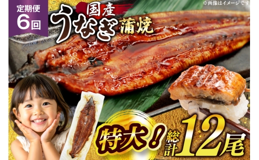 うなぎ 国産 蒲焼 特大 肉厚 約200g 2尾 計400g以上 6回 定期便 総計約2.4kg 小分け 【有頭】[大黒物産 福岡県 宇美町 um40bak830019] タレ 山椒付 ウナギ 鰻 不揃い 規格外 九州産 鹿児島 宮崎 うなぎ蒲焼 鰻蒲焼き 蒲焼き かば焼き 真空パック 個包装 冷凍 unagi 72000円 72000