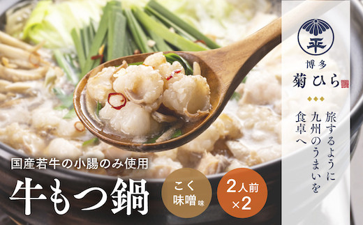 もつ鍋 博多菊ひら 厳選 国産 若牛 もつ鍋セット こく味噌味2人前 2 セット [ベイシス福岡 福岡県 宇美町 um40azp130001] 牛もつ鍋 モツ鍋 モツ鍋セット 鍋 博多