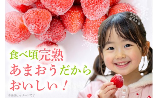 いちご 冷凍 完熟 あまおう 2kg [ストロベリーファーム 福岡県 宇美町 um40azp070000]  【2027年発送先行受付】 イチゴ 苺 フルーツ 冷凍フルーツ 果物 果実 甘い あまい 冷凍いちご 冷凍苺 冷凍イチゴ