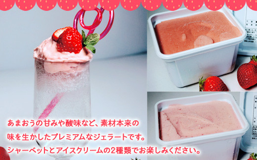 アイス いちご プレミアム あまおう ジェラート 2種 セット [THE FARM_strawberry 福岡県 宇美町 um40azo780003] イチゴ 苺 フルーツ 果実 甘い デザート 冷凍