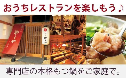 もつ鍋 6回 定期便 博多もつ鍋 やまや もつ鍋セット あごだし醤油味 5〜6人前 ちゃんぽん麺 薬味付 総計30人前 [やまやコミュニケーションズ 福岡県 宇美町 um40azo860013] 牛もつ 具材 モツ鍋 牛ホルモン セット 冷凍