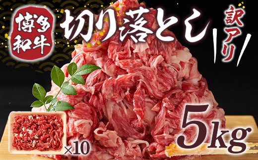 訳あり 博多和牛 切り落とし 500g×10p 計5kg [MEAT PLUS 福岡県 宇美町 um40azp010023] 牛肉 切落し 肉 肩肉 バラ肉 和牛